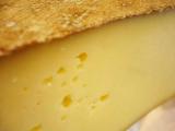 degustation fromages - vins blancs